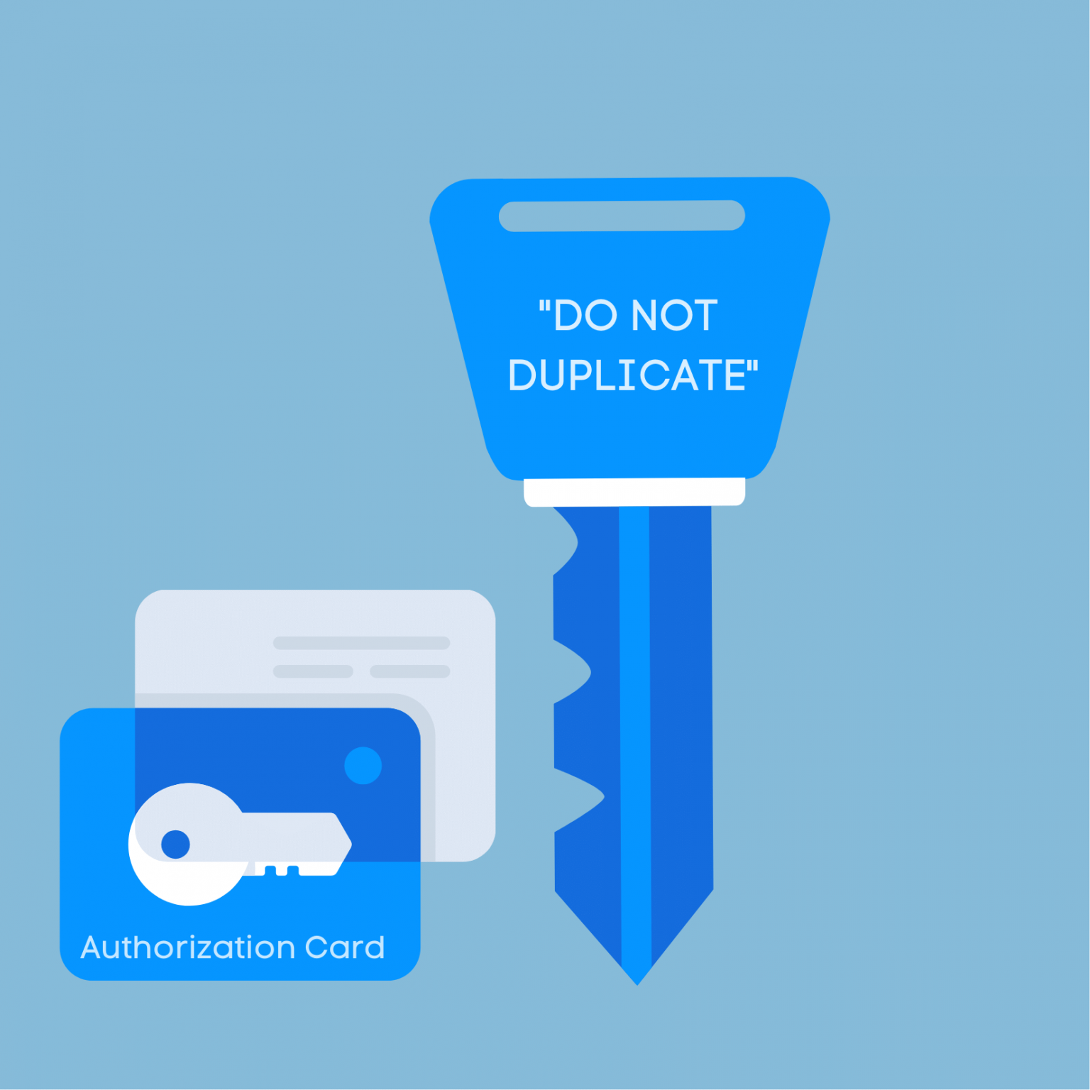 What Is a Do Not Duplicate Key